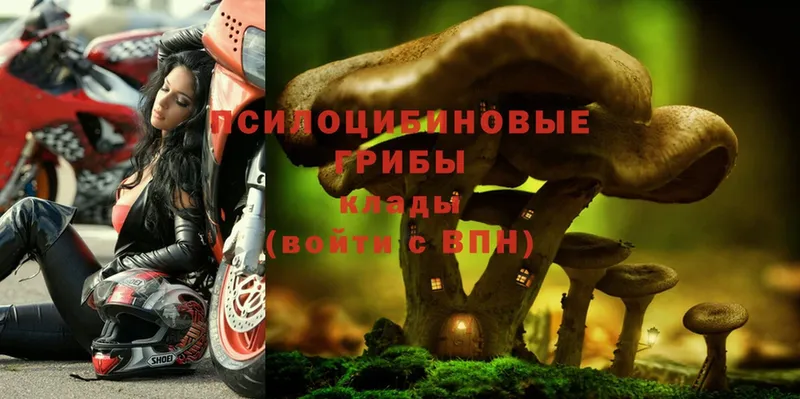 Галлюциногенные грибы Magic Shrooms  Крымск 